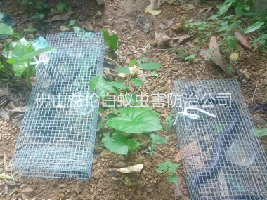 罗村驱蛇防蛇工程