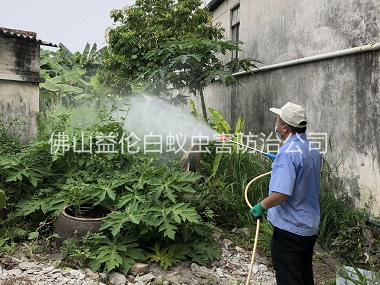 南海区消灭蚊子工程