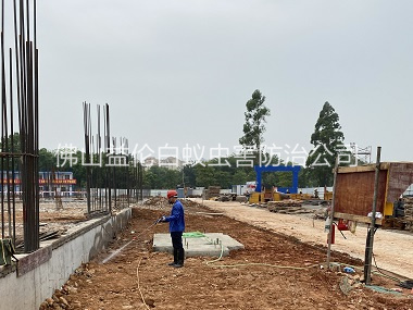 沙头地基防白蚁工程